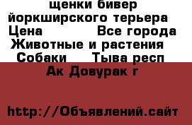 щенки бивер йоркширского терьера › Цена ­ 8 000 - Все города Животные и растения » Собаки   . Тыва респ.,Ак-Довурак г.